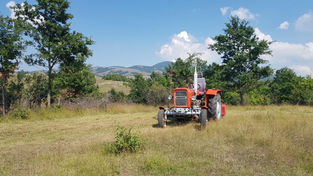 Apartmani Andrej Udbina Dış mekan fotoğraf